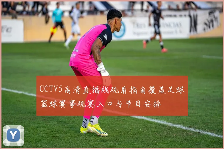 CCTV5高清直播线观看指南覆盖足球篮球赛事观赛入口与节目安排