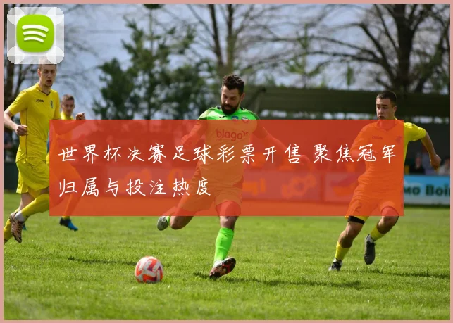 世界杯决赛足球彩票开售 聚焦冠军归属与投注热度