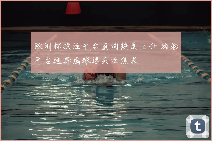 欧洲杯投注平台查询热度上升 购彩平台选择成球迷关注焦点