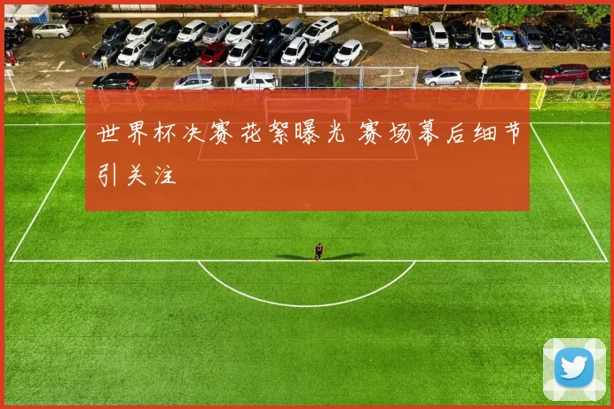 世界杯决赛花絮曝光 赛场幕后细节引关注