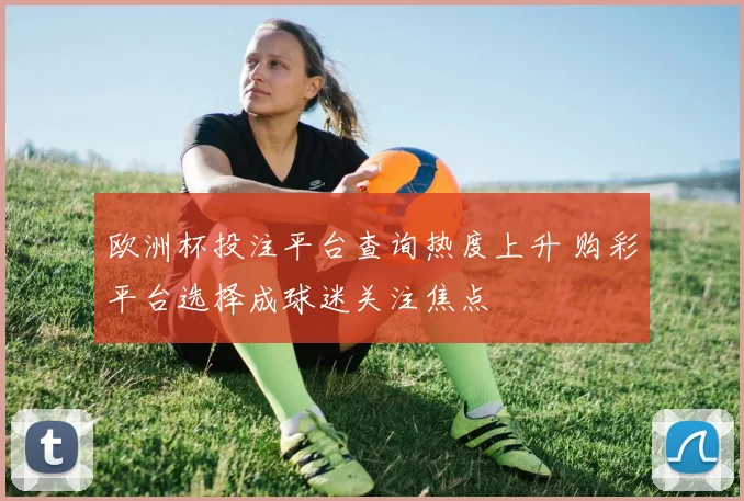 欧洲杯投注平台查询热度上升 购彩平台选择成球迷关注焦点