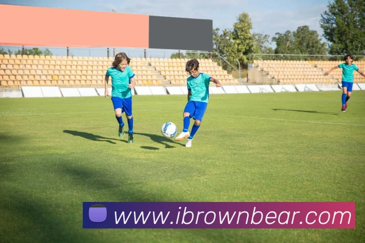 在线买世界杯平台平台生态图